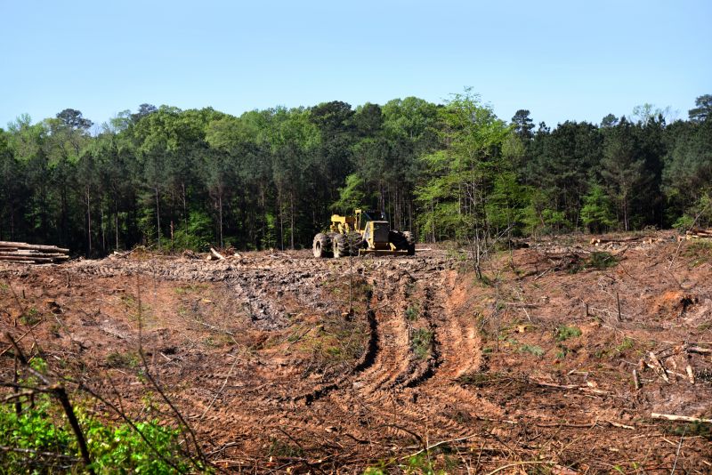 Environmental Land Clearing Experts