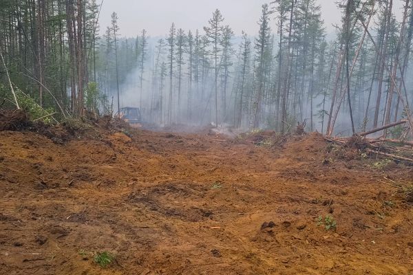 Hill Clearing in Hickory